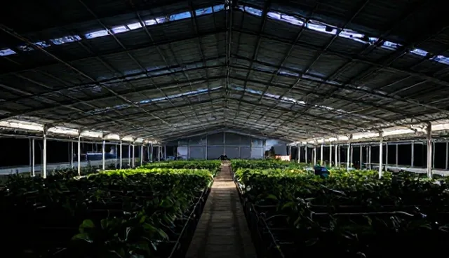 信息化方案配置问题的适用场景与限制分析